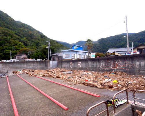 大量の流木と石が流れ着いた西伊豆のダイビングポイント井田