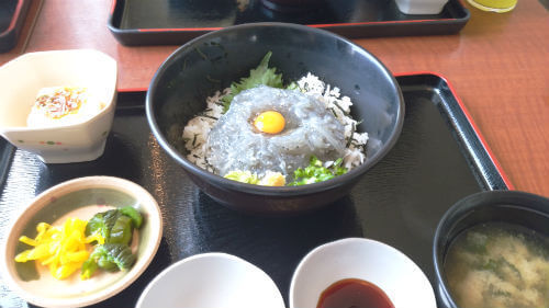 東伊豆川奈ダイビングツアーの昼食はばんばん食堂の生しらす丼