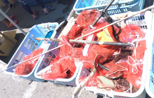 南伊豆のダイビングポイント神子元の海底清掃で集まったゴミは50キロ！