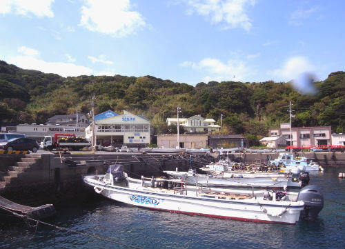 高知県のダイビングポイント柏島の港から宿を見る