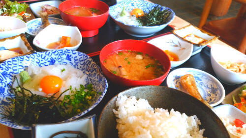 沼津市貝殻亭で昼食生イカ丼