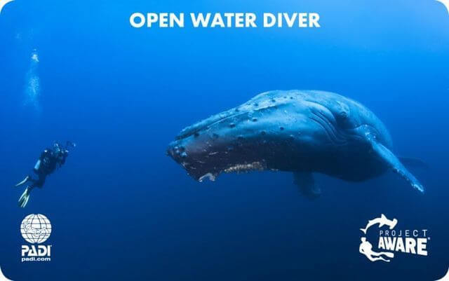 PADI AWAREカード　ザトウクジラ