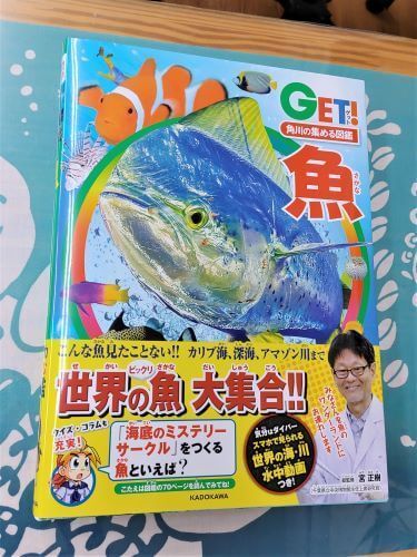 GET!魚｜ダイビングショップアリエス