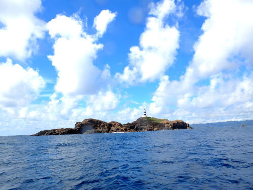 南伊豆・神子元島｜ダイビングショップアリエス